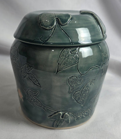 Ivy Jar - CSMJ