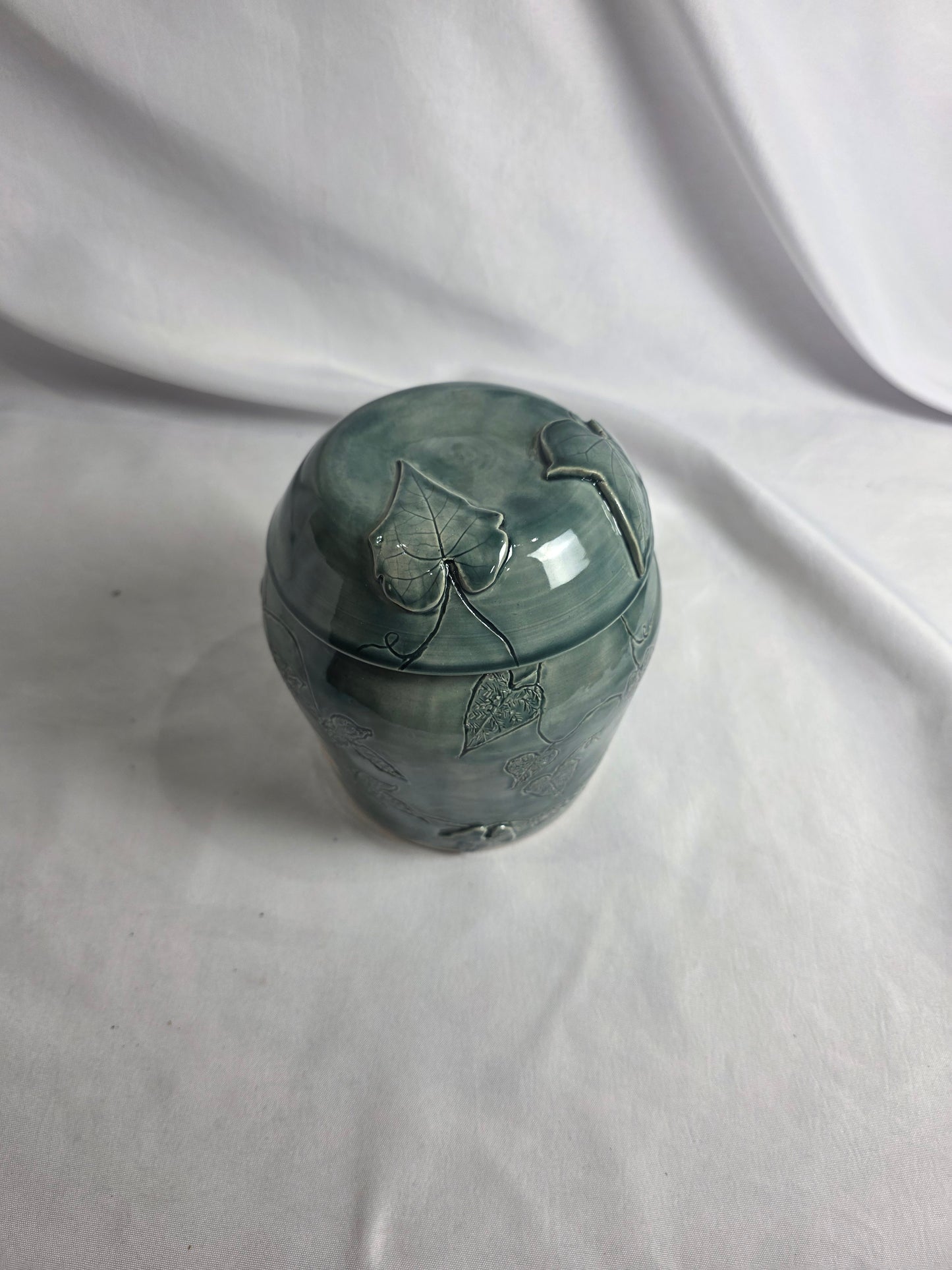 Ivy Jar - CSMJ