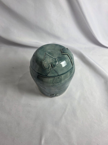 Ivy Jar - CSMJ