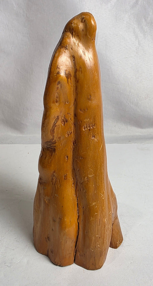 Cypress Knee