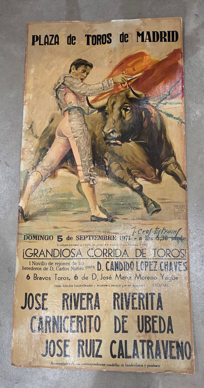 Vtg. Bullfighting Print