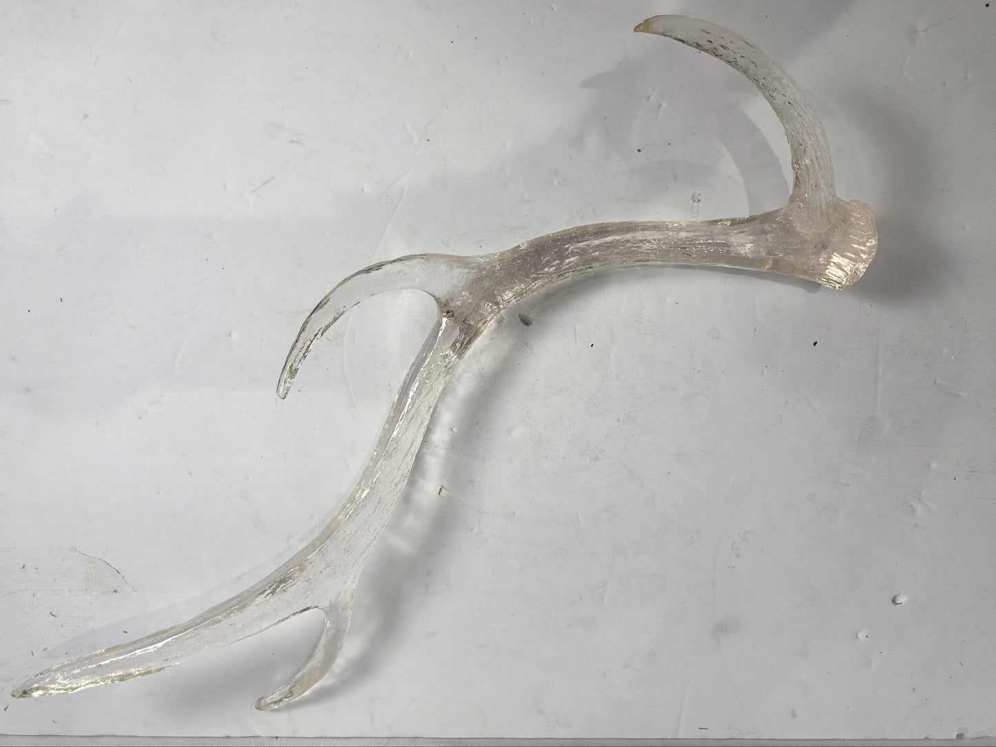 Vtg. Acrylic Antler - CSDP