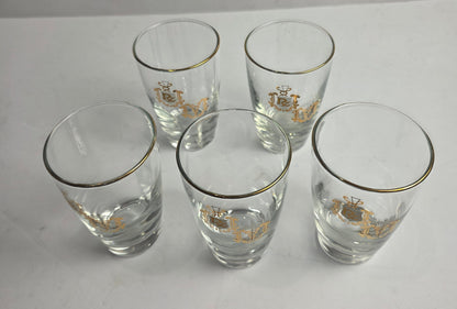 Set of 5 Vtg. Libbey Rx Apothecary Juice Glasses