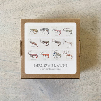 Mini Cards Set / Shrimp & Prawns