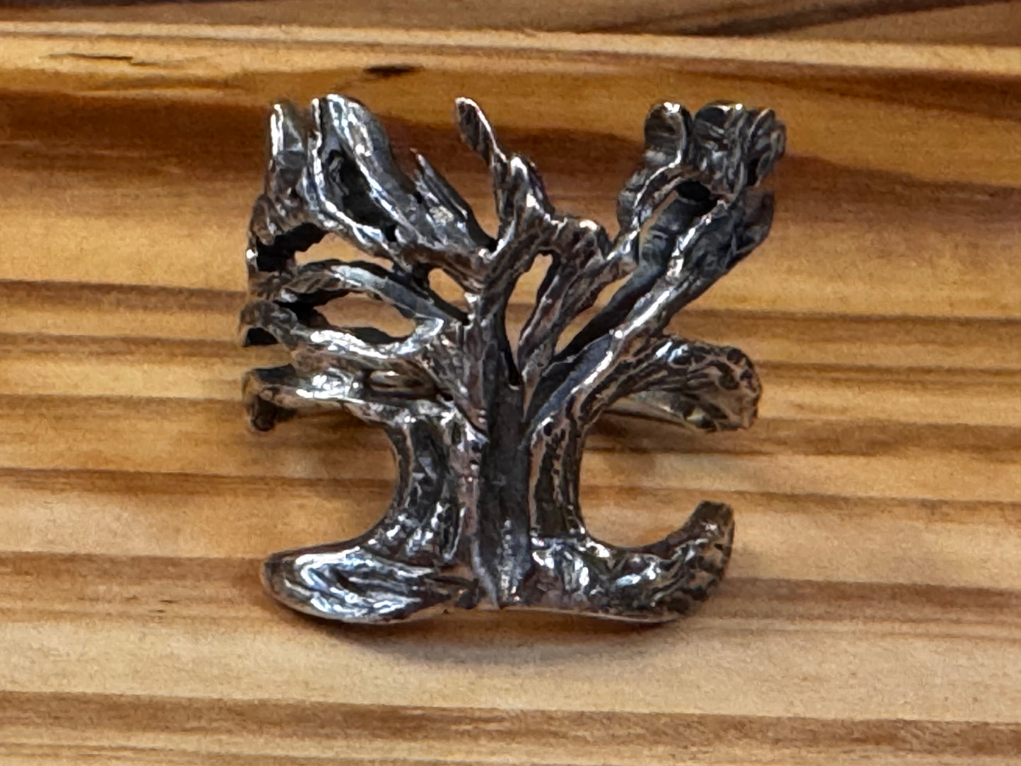 Live Oak-Tree Ring