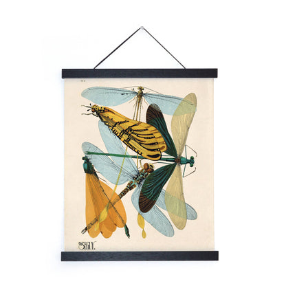 Seguy Dragonfly Damselfly Print