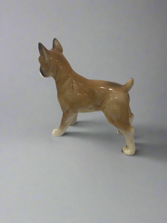Vtg Shafford  Boxer Dog csbh