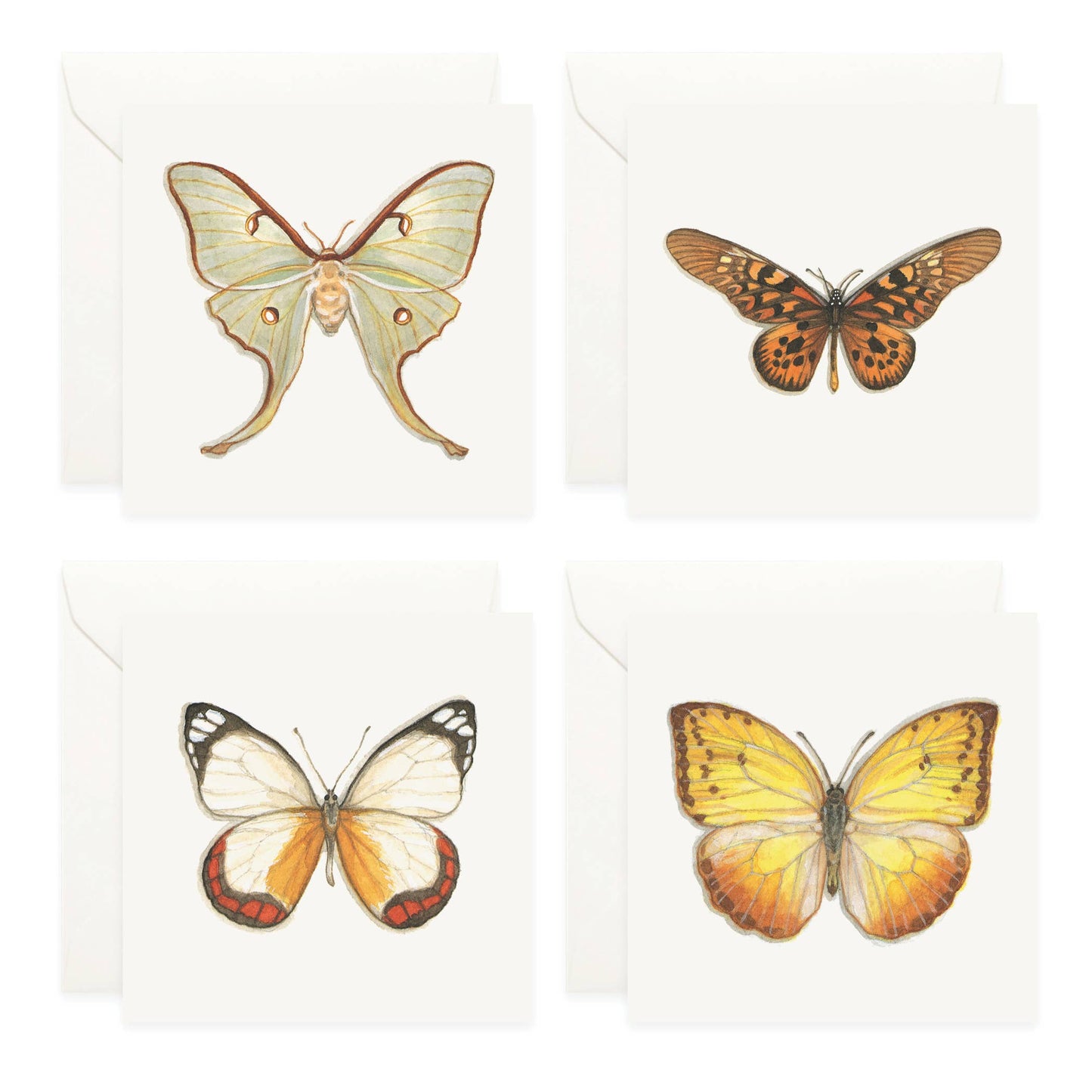 Mini Cards Set / Butterflies & Moths
