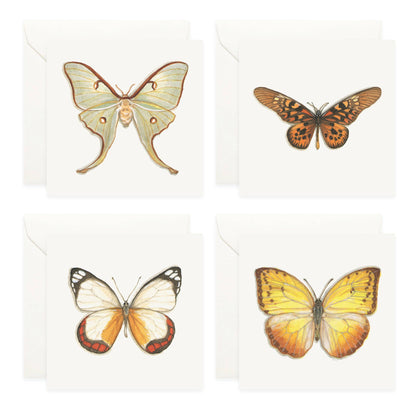 Mini Cards Set / Butterflies & Moths