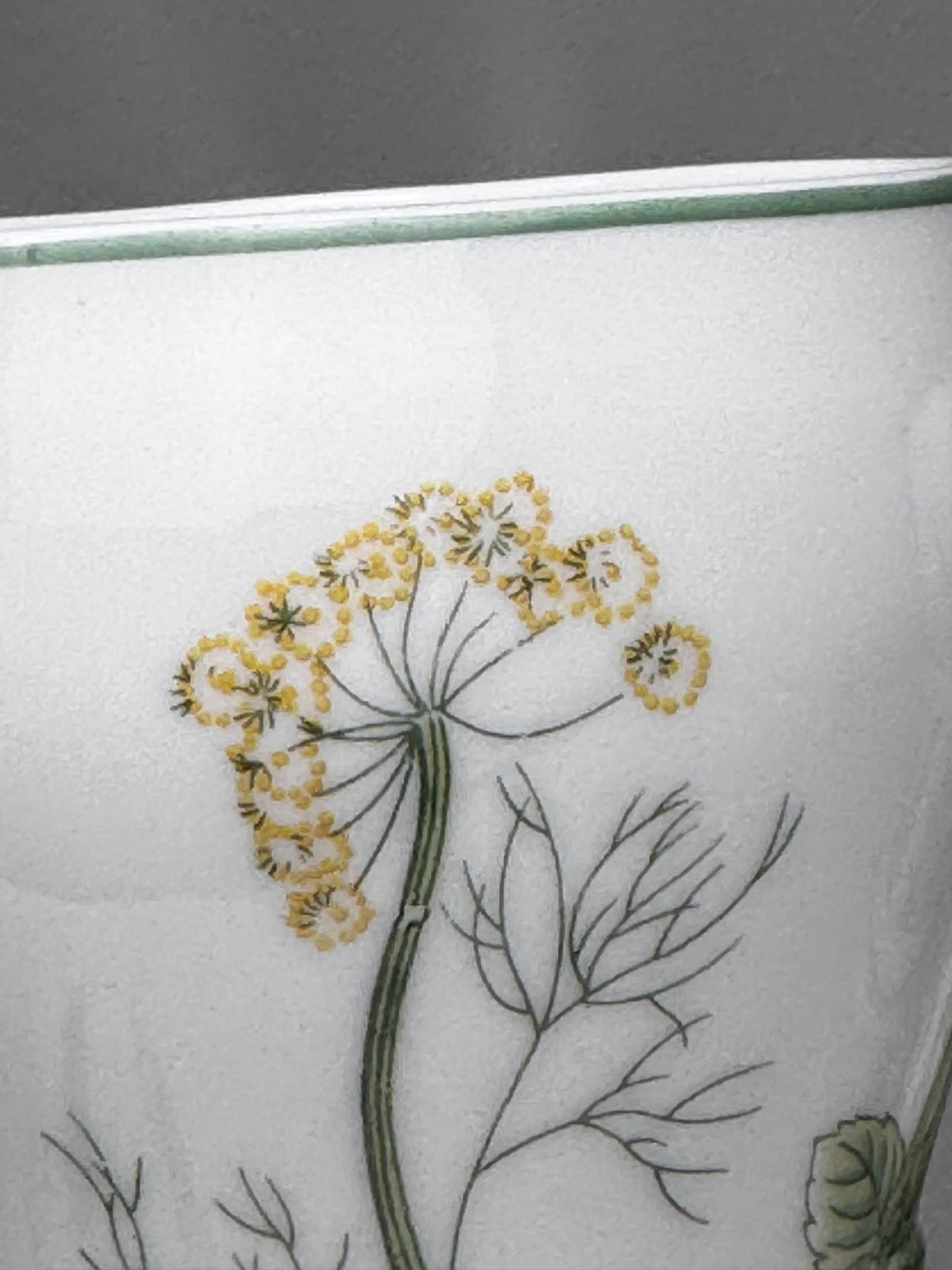 Shafford Herbs & Spices Mugs (3) CSBH