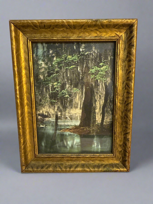 CSRR “Spring in the Swamp”