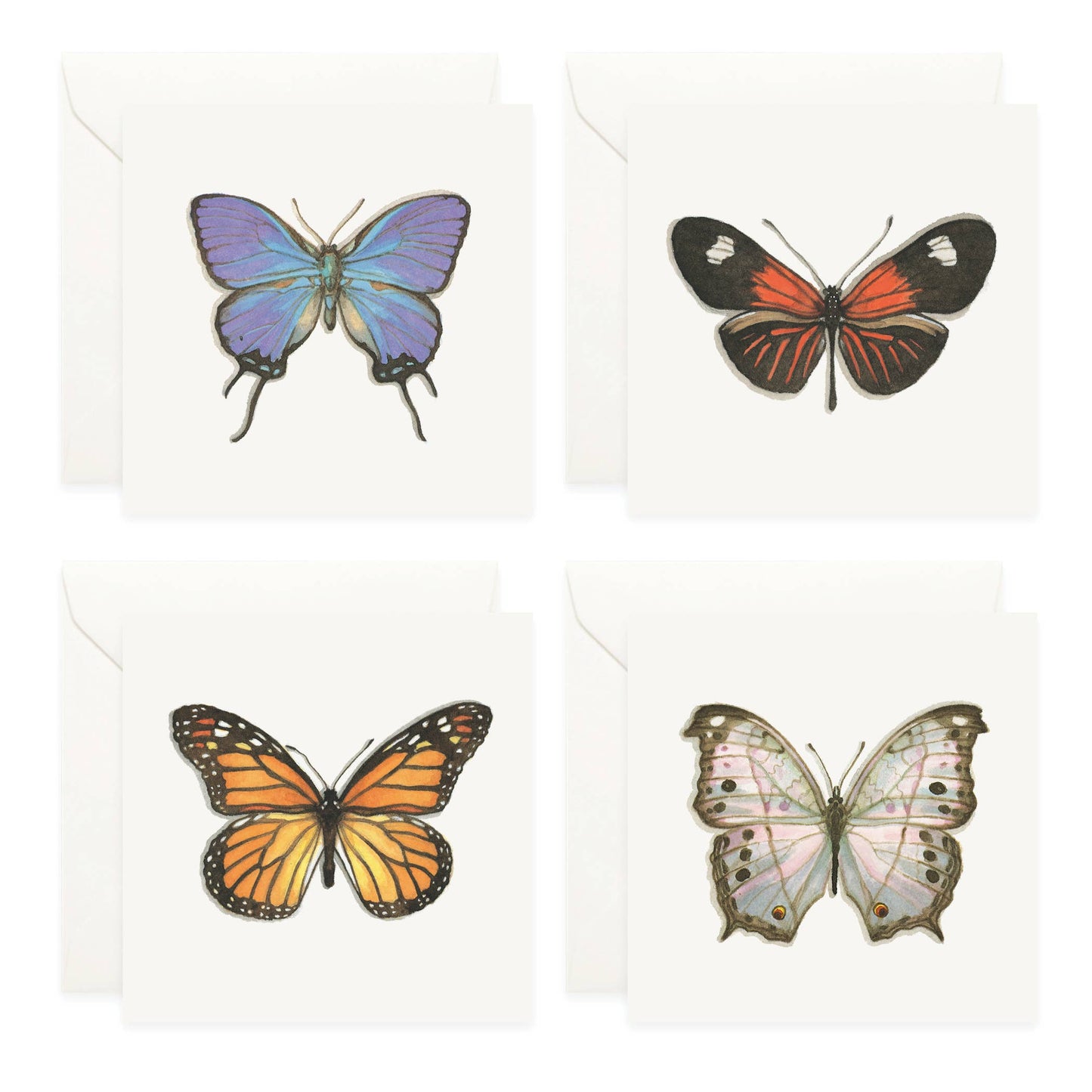 Mini Cards Set / Butterflies & Moths