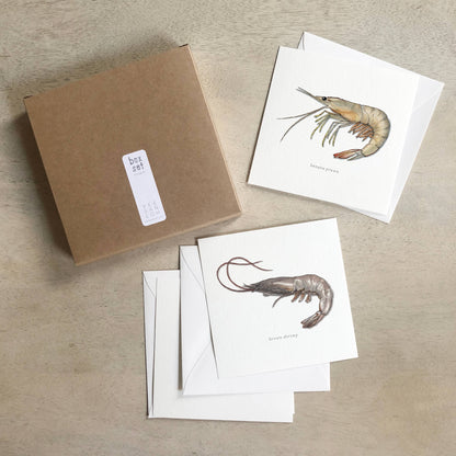 Box Set Cards / Shrimp & Prawns