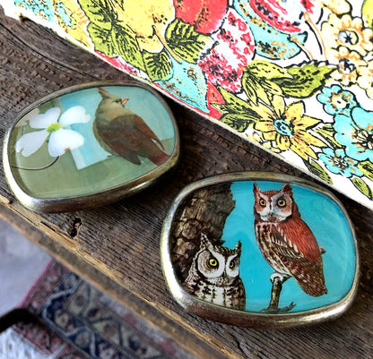 Belt buckle, bird