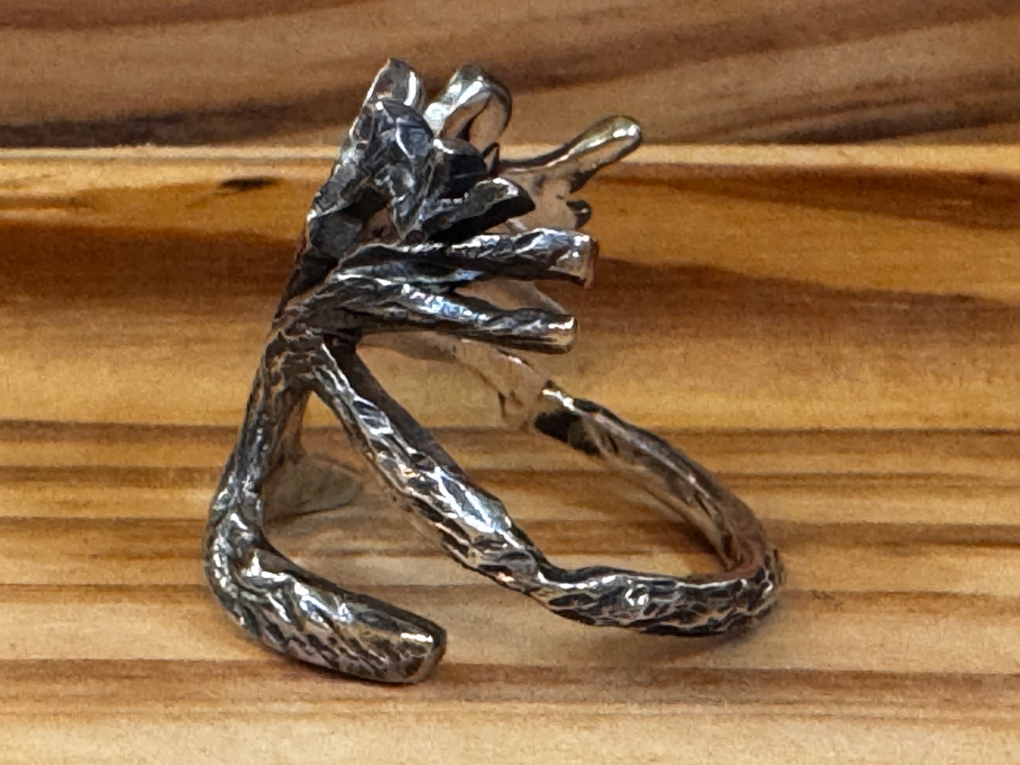 Live Oak-Tree Ring