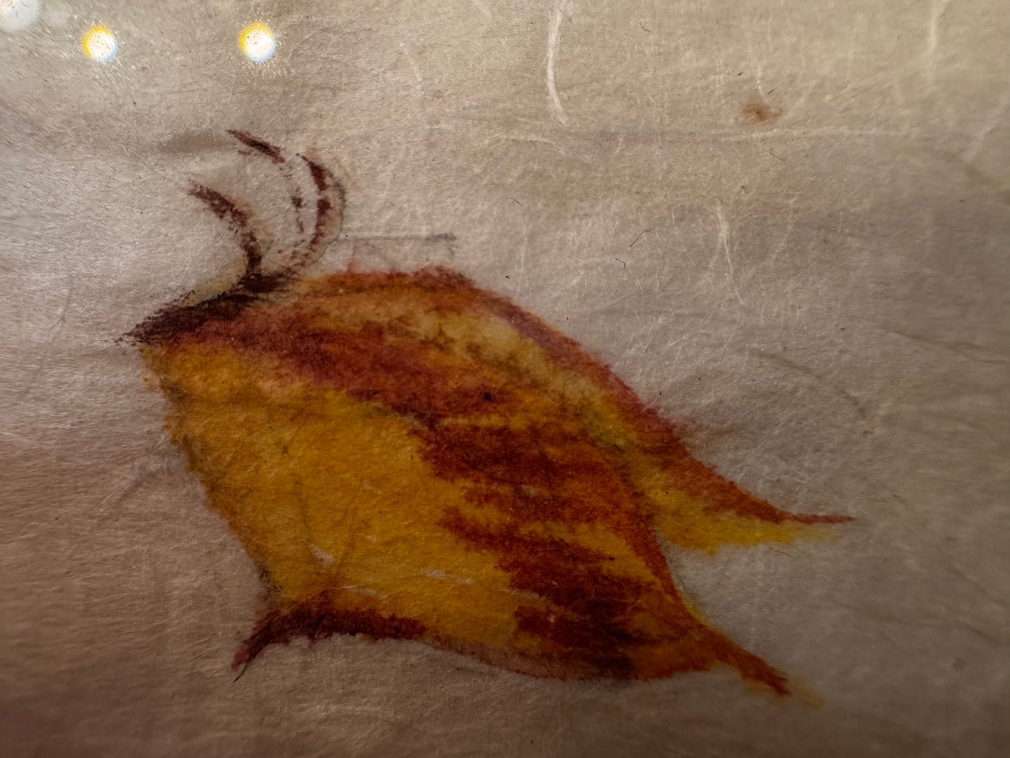 Watercolor. Cattails. CSBH