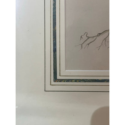 Antique John Edwards Original hand colored Lithograph flower botanical art