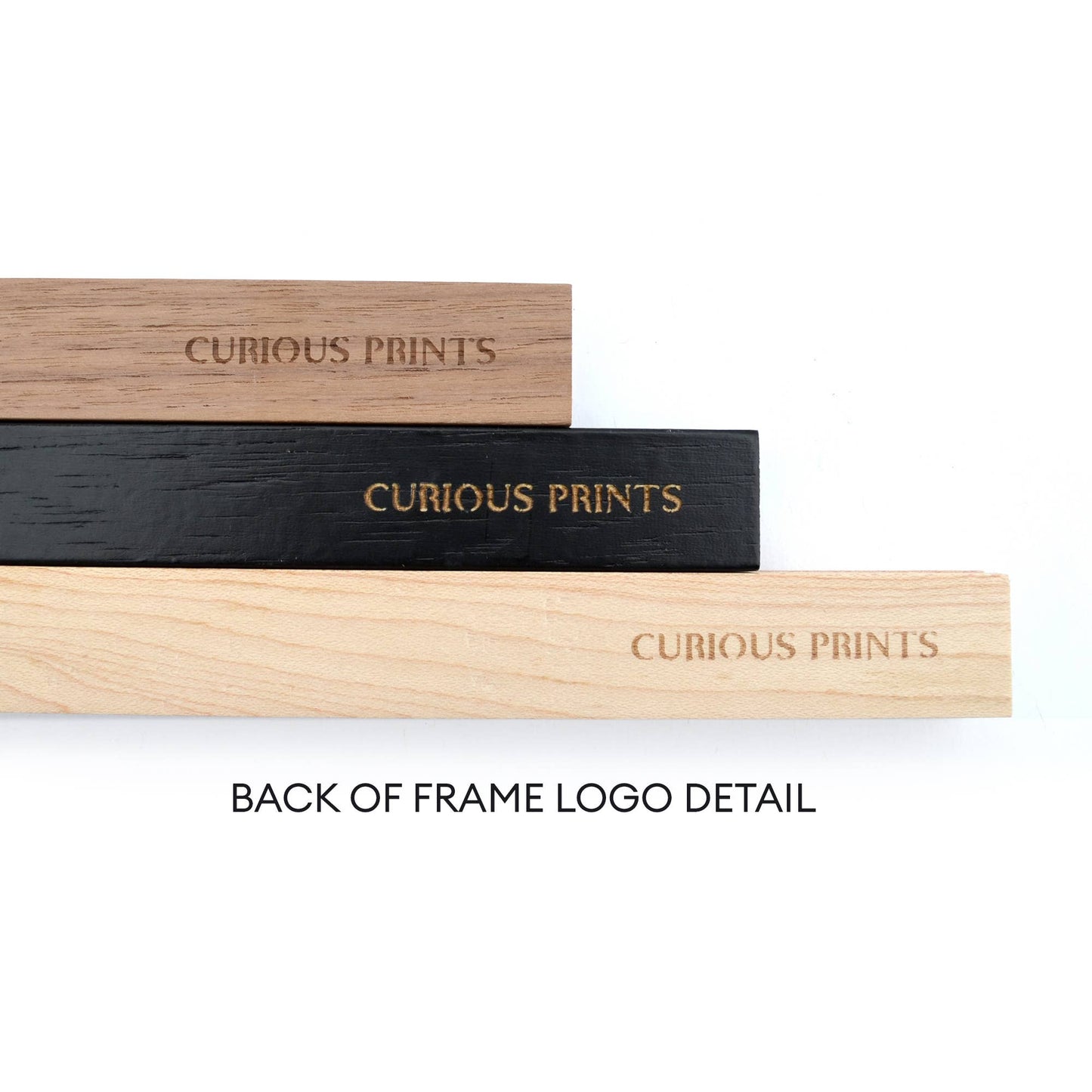 Vintage Botanical Magnolia Flower Print w/ optional frame: 11x14 / Print Only