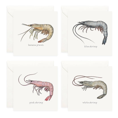 Mini Cards Set / Shrimp & Prawns