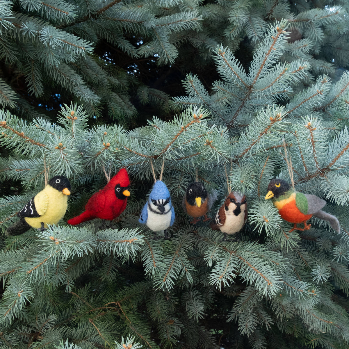 Ornament - Bird - Cardinal