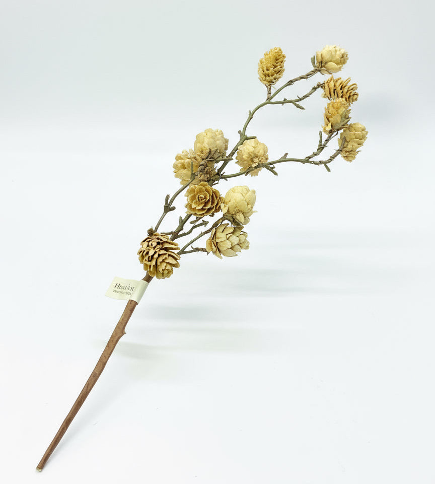 Pinecone Stem Branch
