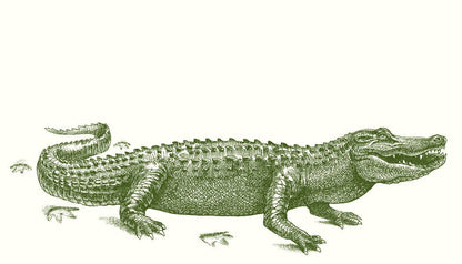 Gator Crossing Gift Cards