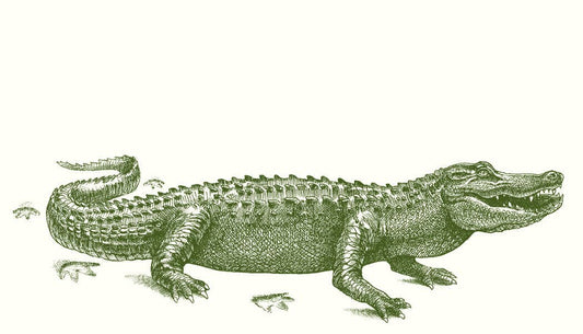 Gator Crossing Gift Cards