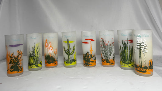 Vintage Frosted Arizona Cactus Glassware Set of 8 – Mid-Century Highball Tumblers CSMB