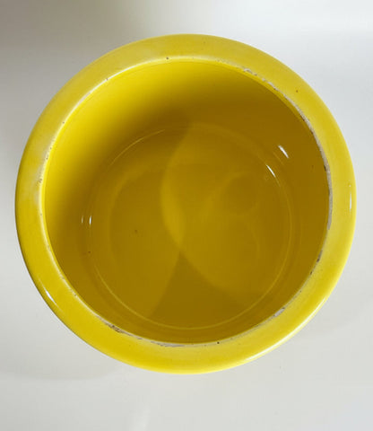 Vintage Retro Mod Daisy Medium 5" Lidded Kitchen Canister
