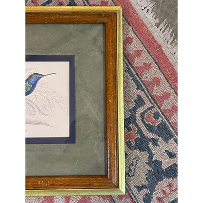 Antique 1800's The Naturalist's LIbrary Hummingbird Hand-Colored Engraving Framed