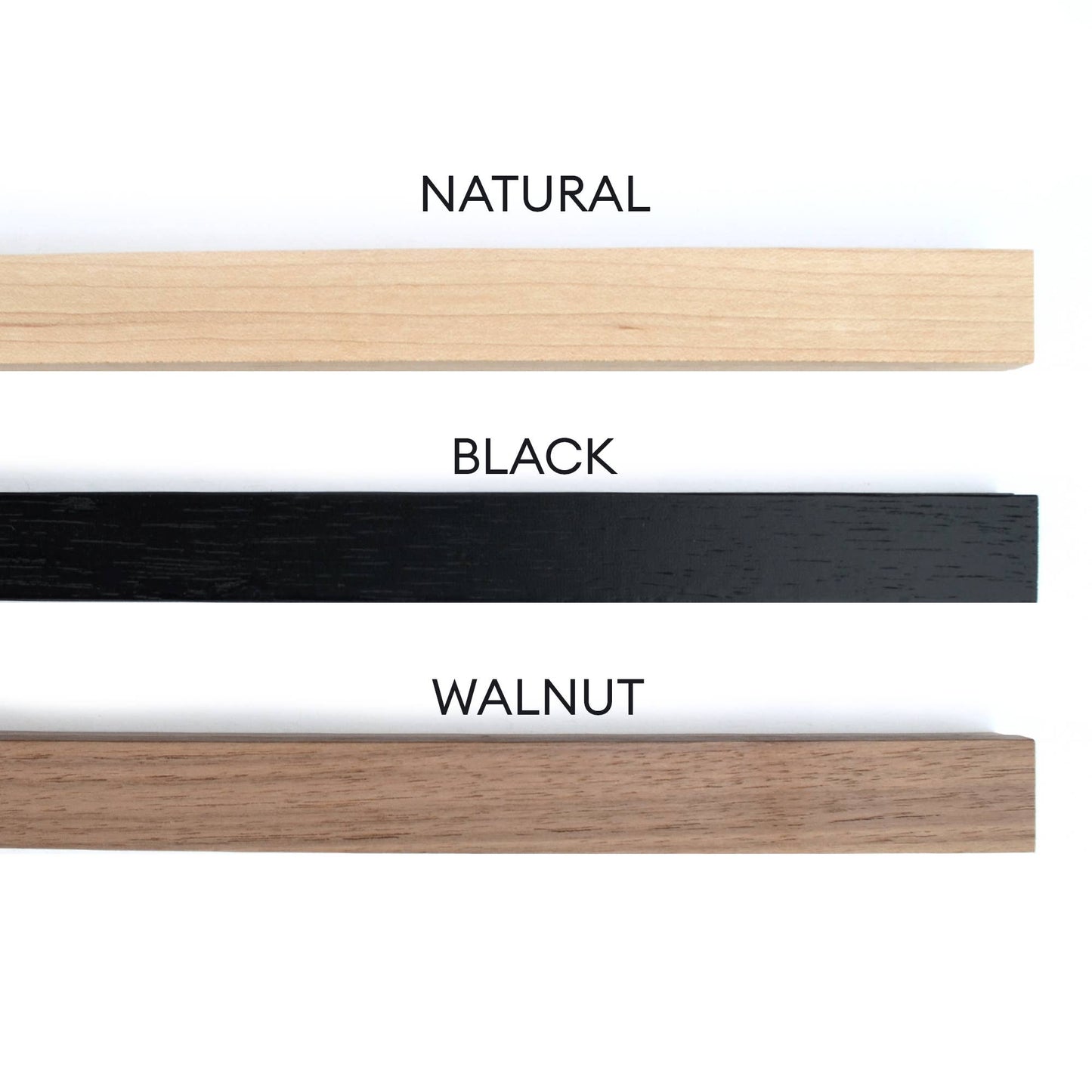 Vintage Botanical Magnolia Flower Print w/ optional frame: 11x14 / Print Only