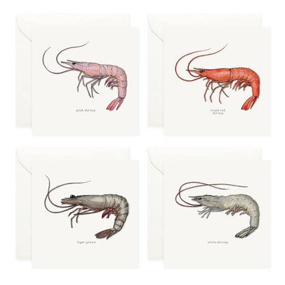 Box Set Cards / Shrimp & Prawns