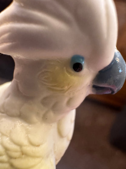 Arnart Cockatoo CSBH