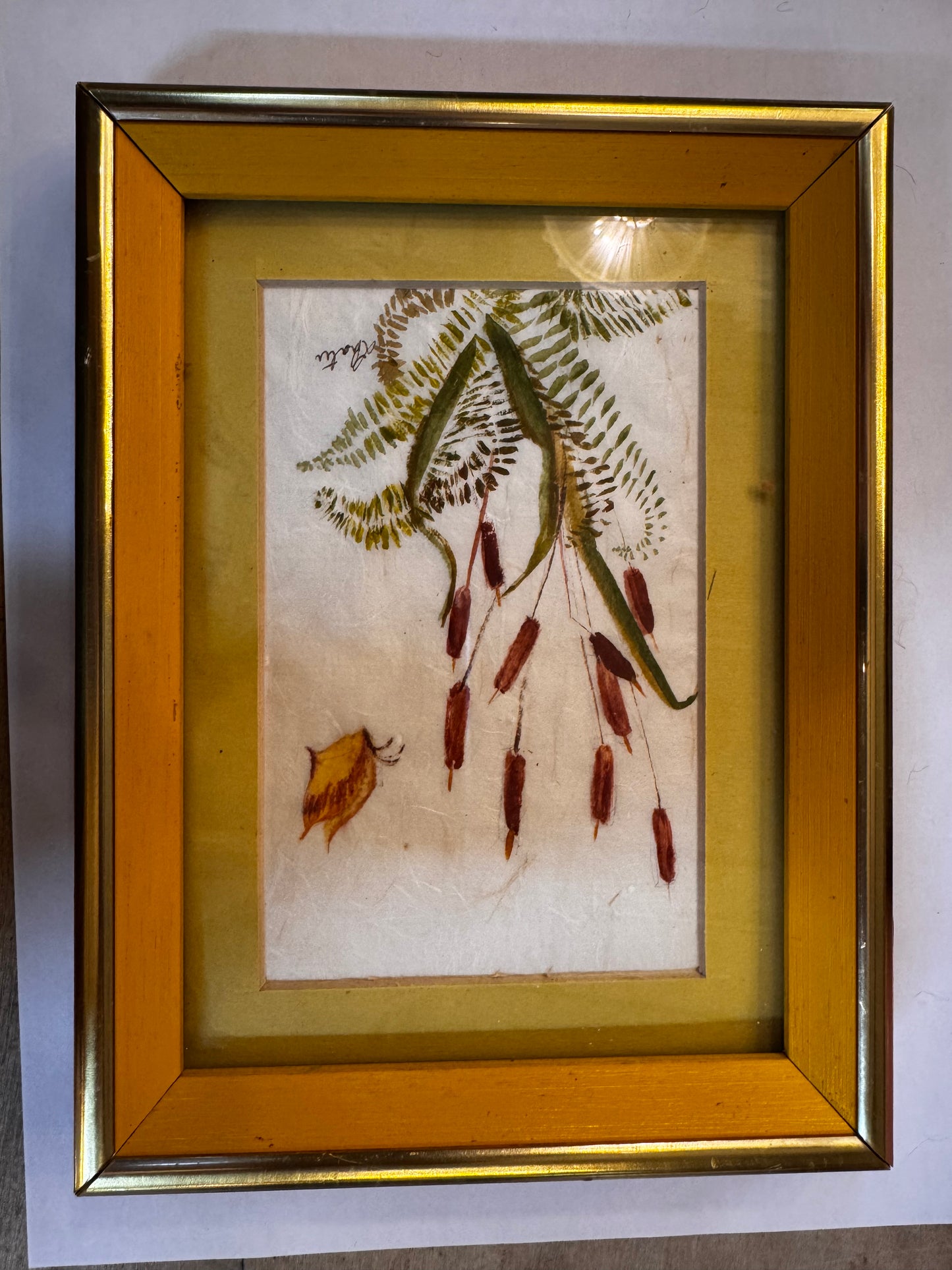 Watercolor. Cattails. CSBH