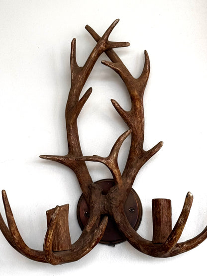 Pair of Antler Sconces