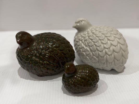 Quail Family