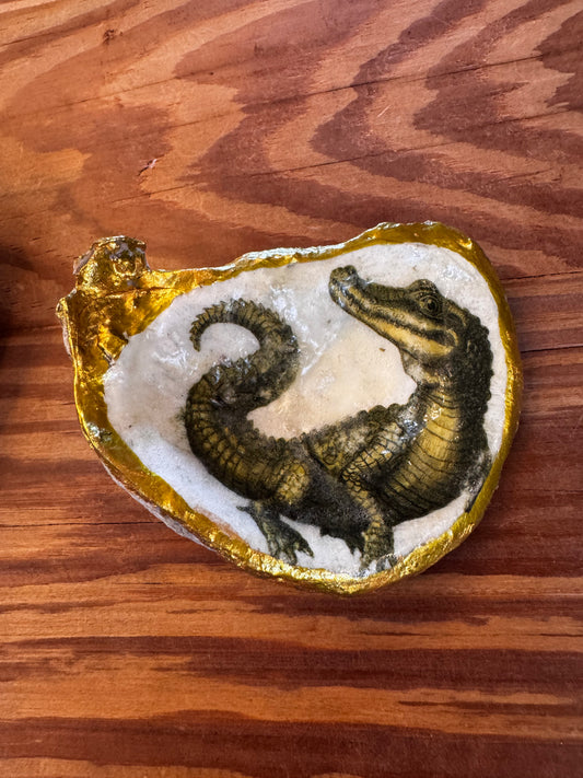 Sassy Gator Oyster Shell CSBH
