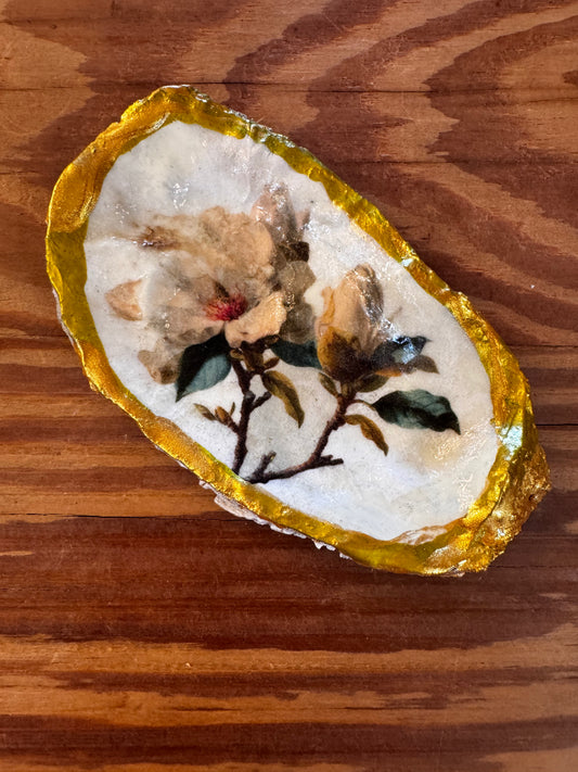 Magnolia Oyster Shell CSBH
