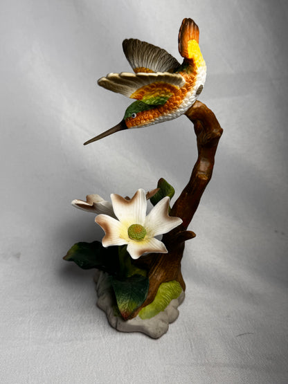 Hummingbird on Dogwood CSBH