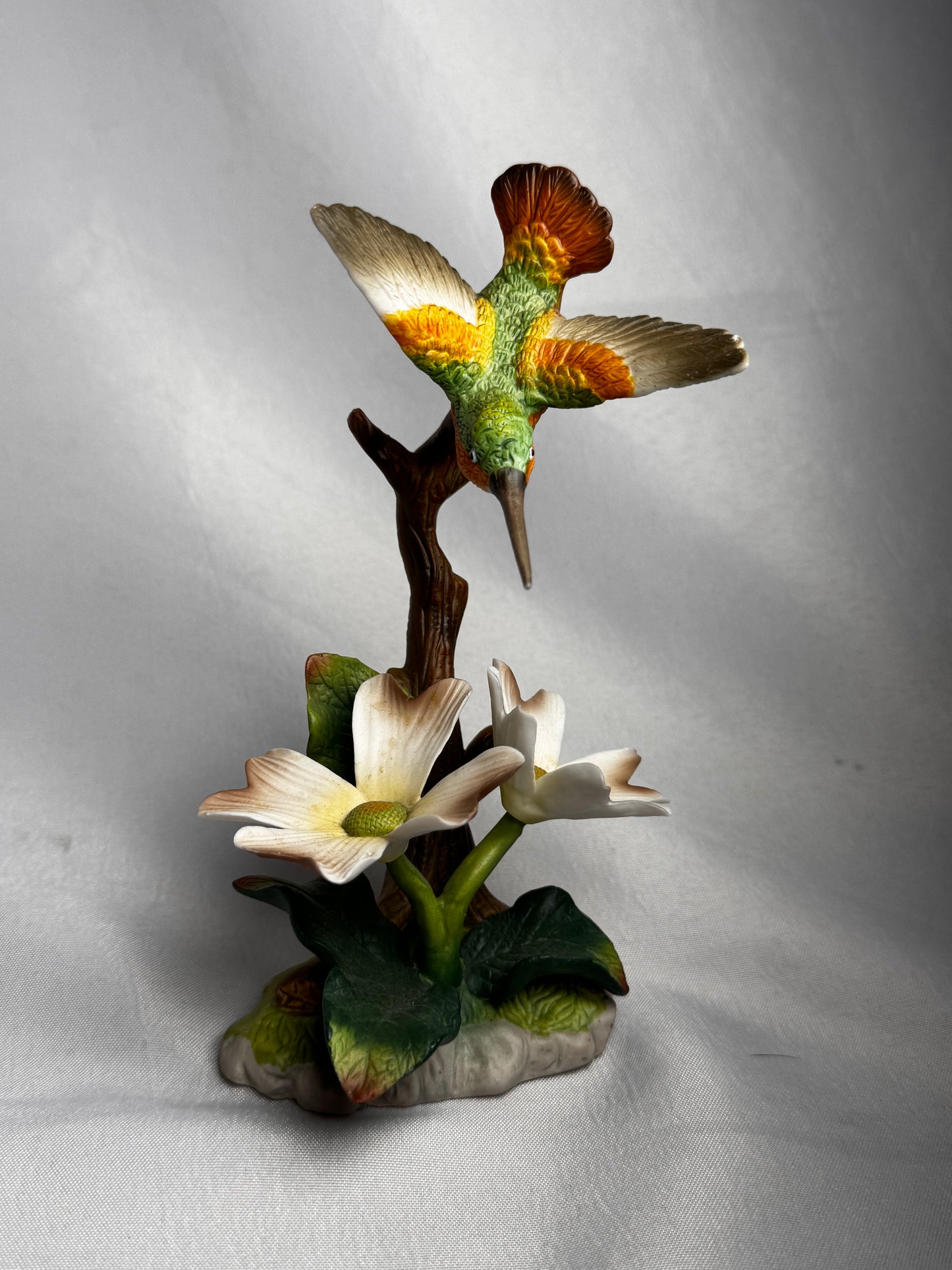 Hummingbird on Dogwood CSBH