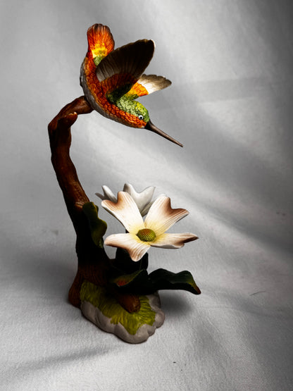 Hummingbird on Dogwood CSBH