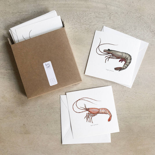Box Set Cards / Shrimp & Prawns