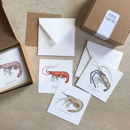 Mini Cards Set / Shrimp & Prawns