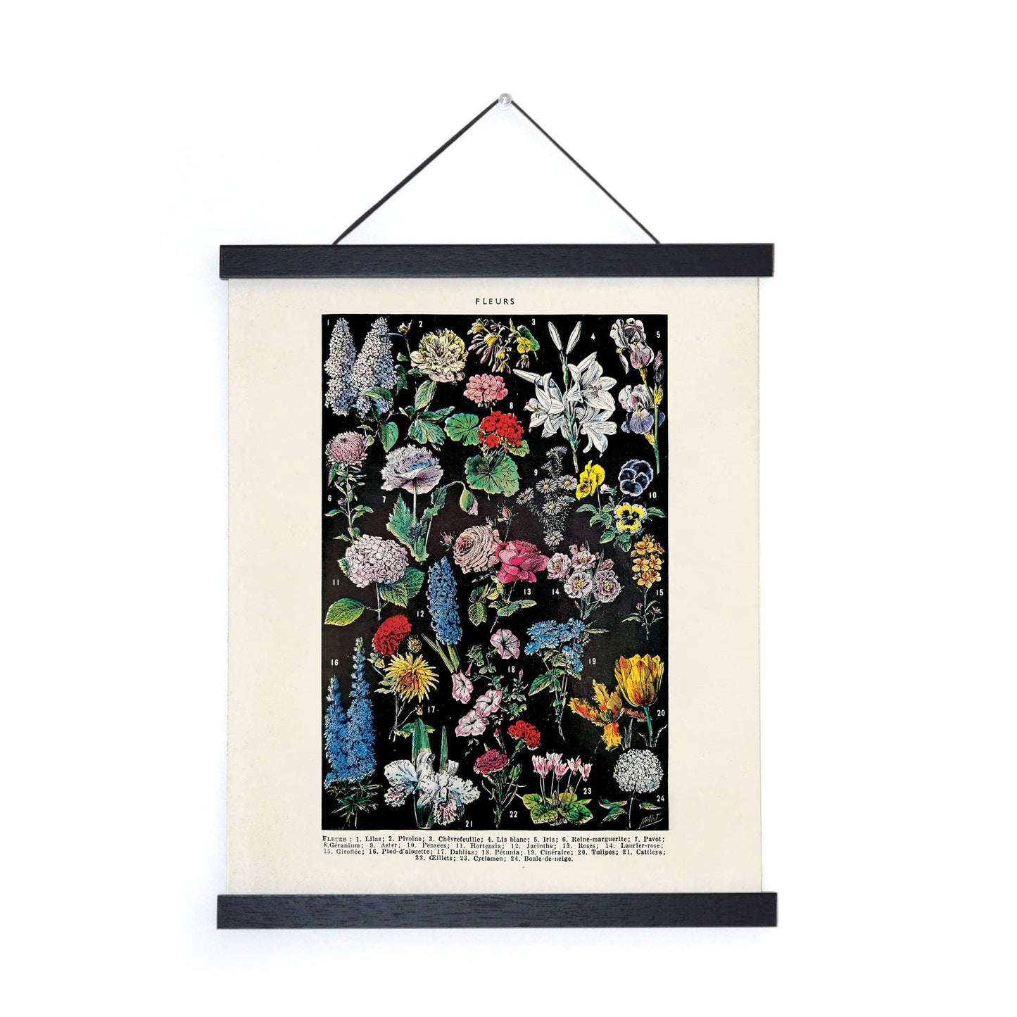 Vintage Botanical Fleurs 2 Flower Print w/ optional frame