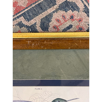 Antique 1800's The Naturalist's LIbrary Hummingbird Hand-Colored Engraving Framed