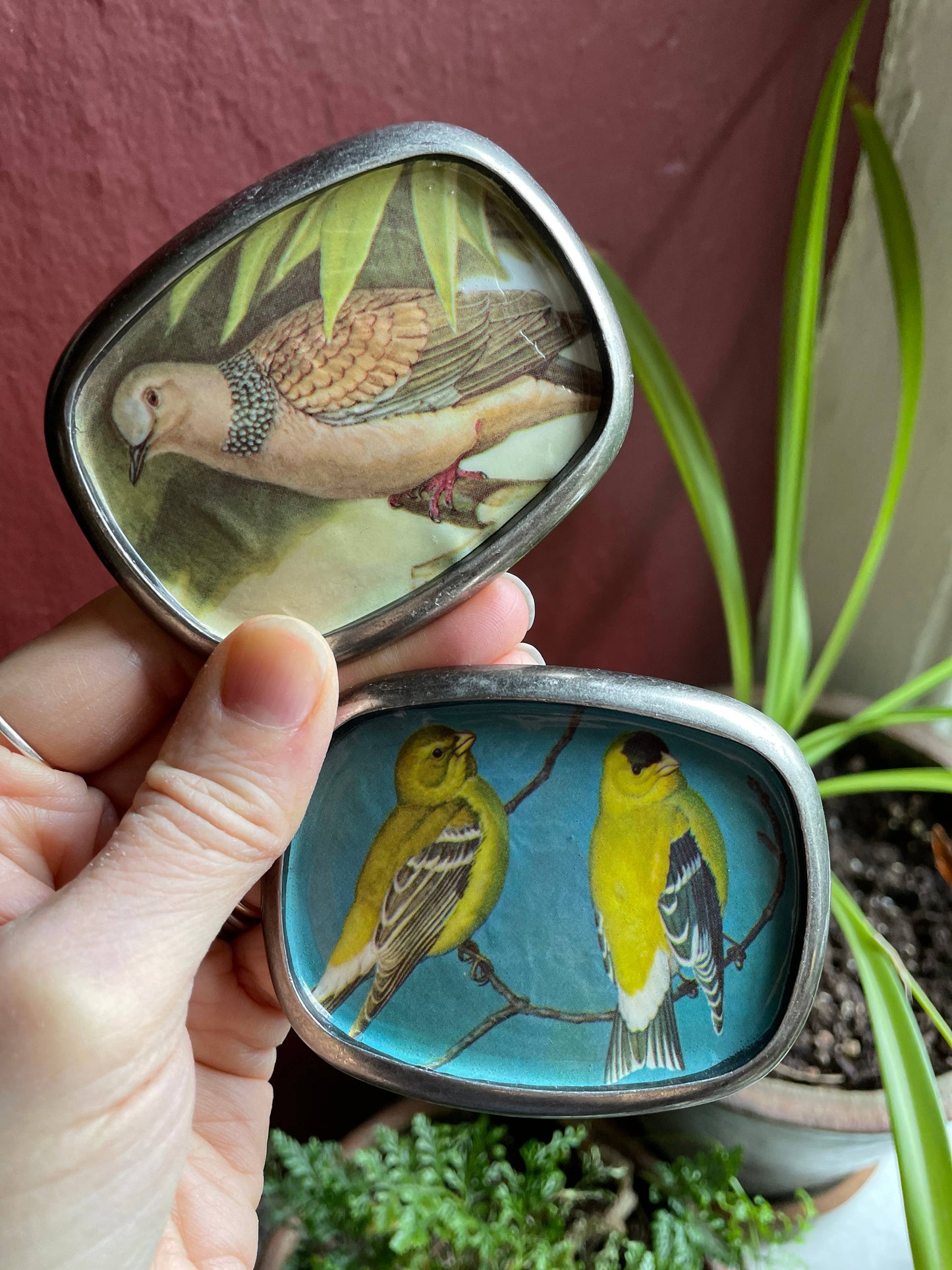 Belt buckle, bird