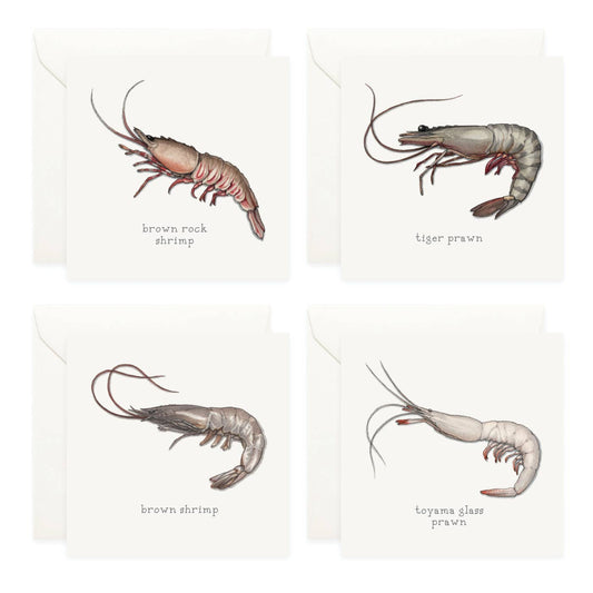 Mini Cards Set / Shrimp & Prawns