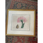 Antique John Edwards Original hand colored Lithograph flower botanical art