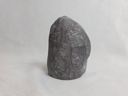 Vintage Chinese Buddha Inside a Soapstone Grotto CSHW