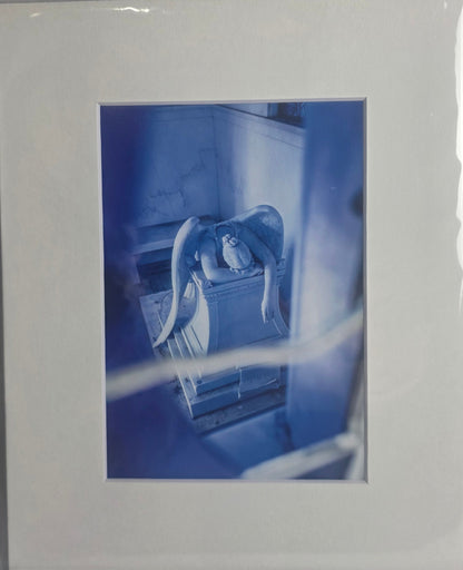 Chasing the Light Photography Print - CSCL